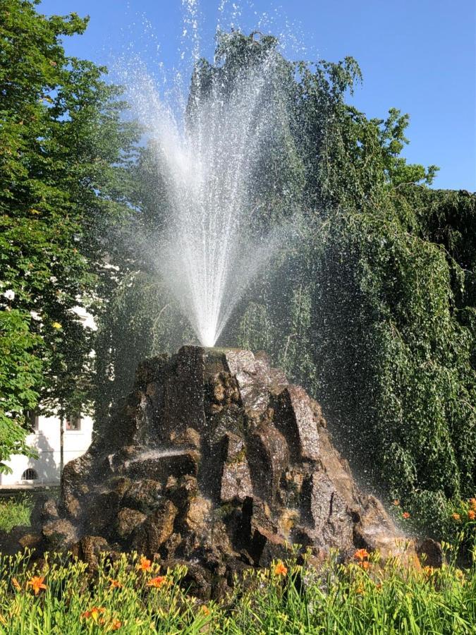 Wanderlust Apartment Baden-Baden Buitenkant foto
